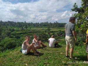 Green Haven Homestay