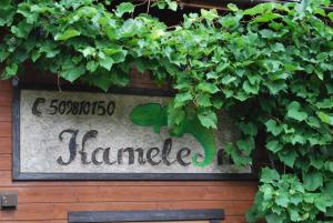 Kameleon Dźwirzyno - Ubytování bez kategorie ve městě Dźwirzyno