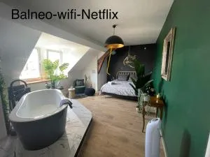 El Circo Gambetta,sublime suite balnéo hypercentre - 艾镇