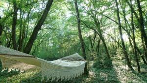 Tentes de luxe O Pays Des Bois - Hebergements insolites en pleine nature : photos des chambres