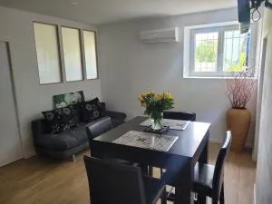 Au Grand Chêne Jolie T3 à 5 min d'Albi - Labastide-Dénat