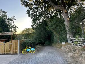 Delightful Converted Double Decker Bus with Hot Tub sleeps 4