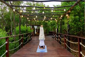 Santo Manglar Cartagena Life Wellness Spa Hotel