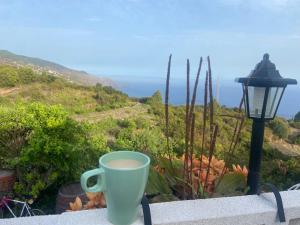 Casa Nieves de Mario