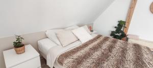 B&B / Chambres d'hotes Cocoon Bed and Breakfast : photos des chambres
