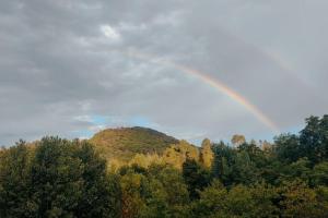 Appartements Gite et jardin en bord de riviere : photos des chambres