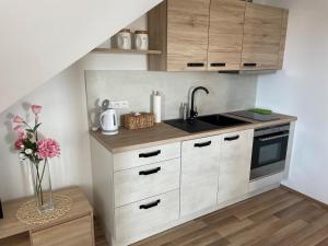 Apartmán Studnice na Vysočině