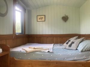 Berwyn Shepherds Hut