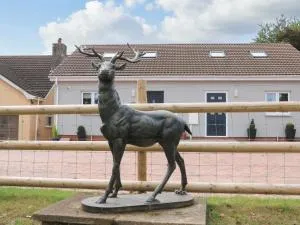 Sawtons Cottage 2 - 道利什