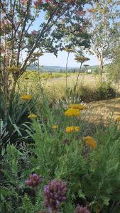 B&B / Chambres d'hotes Domaine Lapeze : photos des chambres