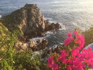 Hermosa Villa con alberca infinita Playa Zipolite