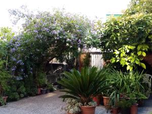 Metro Casa Música Apartments and Rooms