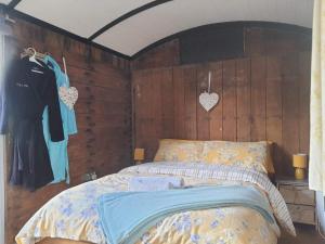 Luxury cosy carriage with electric private hot tub