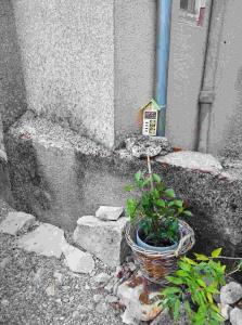 B&B / Chambres d'hotes La grange : photos des chambres