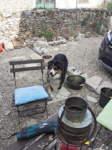 B&B / Chambres d'hotes La grange : photos des chambres