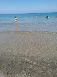 Stella marina - Buonfornello