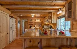 Hooter Hollow by KABINO Fire Pit Big Driveway SmartTV Grill WiFi - Three River Junction