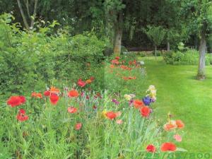 Gîte Normand Idéal Familles et Amis, Jardin et Animaux Acceptés - FR-1-497-38