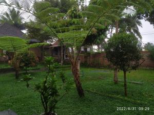 Green Haven Homestay