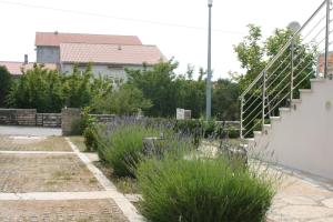 Apartment Novalja 6398e