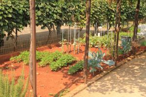 Apartments with parking space Umag - 6978