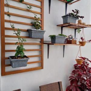 Jull complete house with 8 bedrooms and 6 bathroom