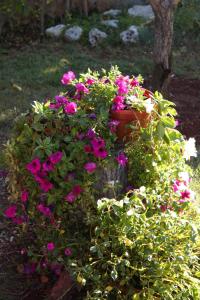 Apartments with parking space Umag - 7057