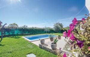 Apartments with a swimming pool Fiorini, Novigrad - 7047