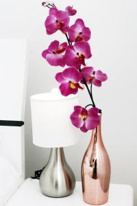 Rooms by the sea Split - 6973