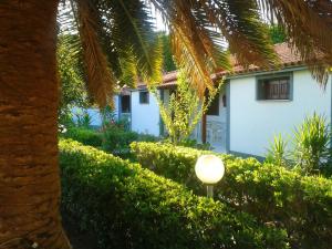 Vicky Studios and Apartments