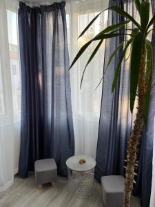 Mihas Apartament Sulina