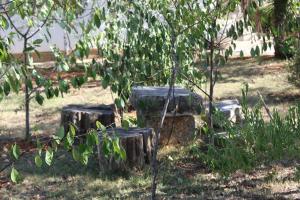 Apartment Fazana 7188d