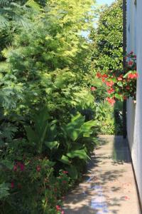 Apartment Umag 7171a