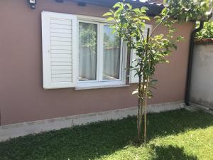 Apartment Umag 7126a