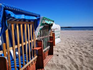 Vier Jahreszeiten 3-44