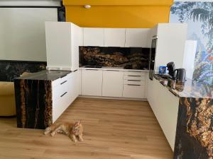 Loft "Eden" jaccuzi prestations haut de gamme 92m2-2 chbres