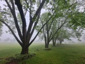 La Luna @ Misty Mountains - Elim