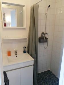 Appartements S1 Logement entier tout equipe Courtenay : photos des chambres