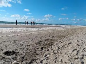 De Zwarte Ruiter - 圣马丁斯泽