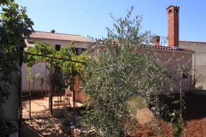 Apartments with a parking space Fazana - 7281 