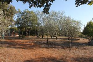 Apartments with a parking space Peroj, Fazana - 7254