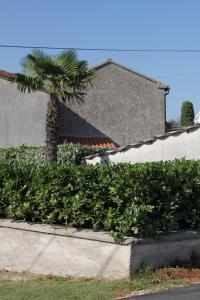 Holiday house with a parking space Kanfanar, Central Istria - Sredisnja Istra - 7276 