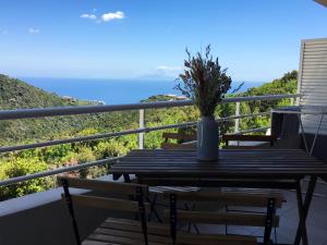 Appartements Appartement d'une chambre avec vue sur la mer terrasse amenagee et wifi a Bastia a 2 km de la plage : photos des chambres