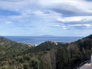 Appartements Appartement d'une chambre avec vue sur la mer terrasse amenagee et wifi a Bastia a 2 km de la plage : photos des chambres