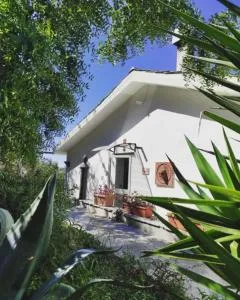 Tottavilla Affittacamere - Oneto