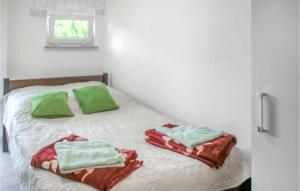 Cozy Apartment In Dominikowo With Wifi