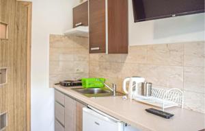 Cozy Apartment In Dominikowo With Kitchen