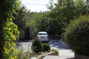 Family friendly house with a swimming pool Presika, Labin - 7363