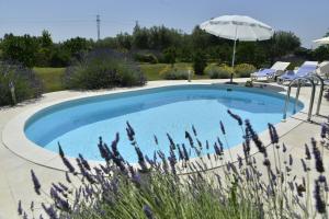 Family friendly house with a swimming pool Guran, Central Istria - Sredisnja Istra - 7373 