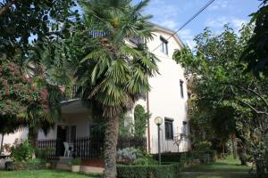 Apartments with a parking space Basanija, Umag - 7334 